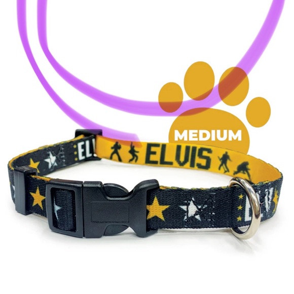 Elvis Dog Collar Black and Gold Size Medium Pet - Picture 2 of 6